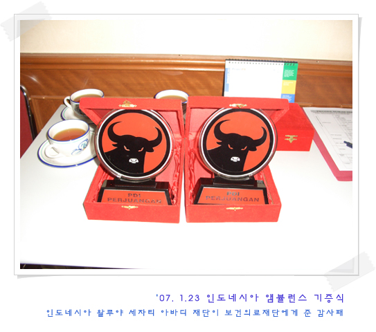 indonesia_ambulance0701_4